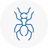 Ant Removals In Worsbrough