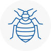 Bed Bug Extermination In Worsbrough