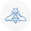 Bee Nest Removal Worsbrough
