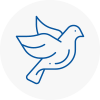 Bird Prevention Worsbrough