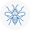 Worsbrough Hornet Nest Removals