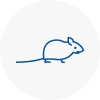 Mice Exterminators In Worsbrough