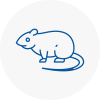 Rat Control Worsbrough