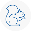 Worsbrough Rodent Removals